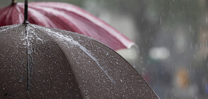 Заради бурята: Сигнали за паднали клони към аварийните екипи в София