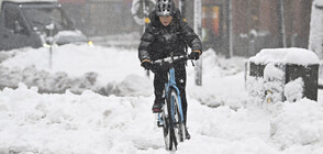 Първият обилен снеговалеж парализира Швеция (СНИМКИ)