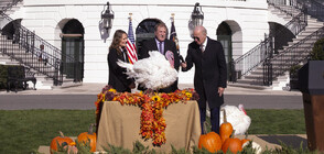 Байдън спази традицията и помилва две пуйки преди Деня на благодарността (СНИМКИ)