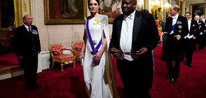 Кейт отново блесна на първия си прием като принцеса на Уелс (СНИМКИ)