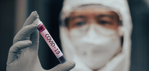 50 са новите случаи на коронавирус в България