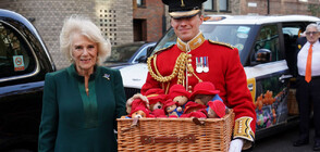 Камила дари 1000 плюшени мечета Падингтън на детски градини (ВИДЕО+СНИМКИ)