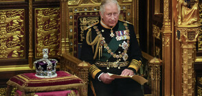Експерти за кралското семейство: Първата Коледа без Елизабет ll ще бъде отбелязана по-различно