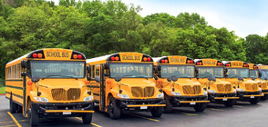 Правителството отпуска 44 млн. лева за закупуване на училищни автобуси