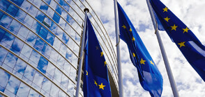 Четири групи в ЕП призовават за подкрепа на България, Румъния и Хърватия за Шенген