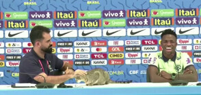 Неканен гост в Доха: Котка прекъсна пресконференцията на футболист