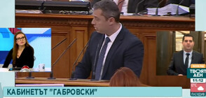 Ганчев: Ръководните фактори на ГЕРБ активно са съдействали за кабинета "Габровски"