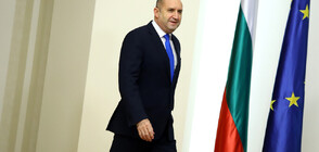 Радев и Блинкен говориха по телефона