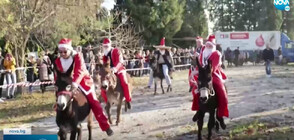 Десетки Дядо Коледовци в Босна се състезаваха с магарета (ВИДЕО)