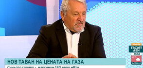 Експерт: Над 250 евро за мегаватчас е прогнозата за газа за януари