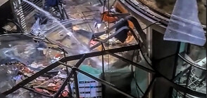 Берлинската зоологическа градина лекува рибите, ранени при експлозията на гигантския аквариум