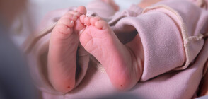 РАЗВРЪЗКА: Разменените бебета в „Шейново” ще бъдат върнати на родителите си
