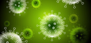 129 new coronavirus cases in last 24 hours in Bulgaria