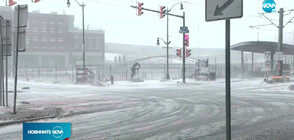 Най-малко 38 загинали в зимните бури в САЩ и Канада