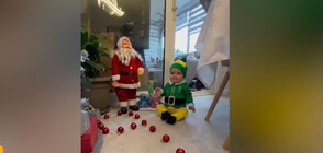 Първата Коледа на семейството, успяло да вземе бебето си от Украйна