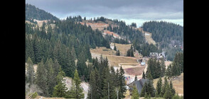 Учени: Екстремните метеорологични явления ще са все по-чести (ВИДЕО)