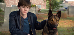 Необикновено приятелство между момче и куче сапьор в "Макс" по NOVA