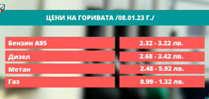 Какви са цените на горивата в различните населени места