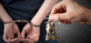 Митнически служители задържаха над 6,2 кг марихуана в кутии с коледни лакомства