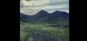 Рядко явление: Планините край Мека потънаха в зеленина (ВИДЕО)