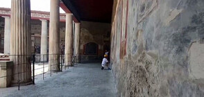 След мащабна реставрация: Къщата на Ветий в Помпей отново отваря врати (ВИДЕО)