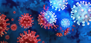 Британски учени се готвят да секвенират генома на грипа