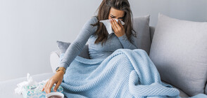 Къде има най-много болни от грип