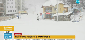 Сняг покри пистите в Пампорово