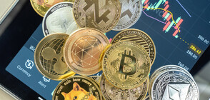 ПОЗИЦИЯТА НА Nexo: Всичко случващо се е в остър разрез с правните и процесуални норми