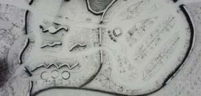 Пухкав снежен килим покри хиляди рози в Белгия (ВИДЕО)