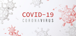 30 са новите случаи на COVID-19 у нас