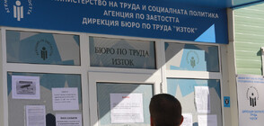 Технически проблем затрудни работата на Агенцията по заетостта