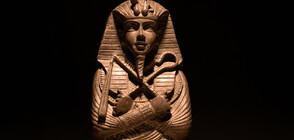 Тайните на "златната" мумия разкрити с компютърна томография (СНИМКИ)