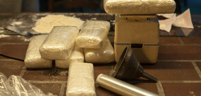 Испания залови 4,5 тона кокаин край Канарските острови в кораб, транспортиращ крави (ВИДЕО)