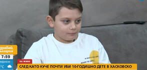 2000 лв. глоба за собственика на куче, нахапало 10-годишно дете в Хасковско