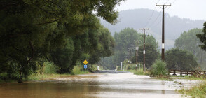 Очакват се нови порои в Нова Зеландия, наводненията продължават (ВИДЕО)