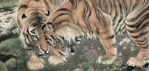 Художник посвети десетилетия на рисуване на тигри в знак на почит към родния град (ВИДЕО)