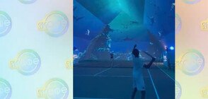 Създадоха подводен тенис корт сред акули
