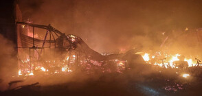 Пожар в складова база в Бургас (СНИМКИ)