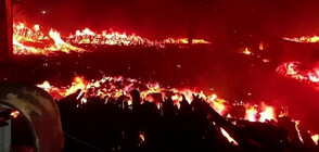 Горещини предизвикаха голям пожар в Чили, има засегнати домове (ВИДЕО)