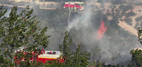 Зимни горски пожари бушуват в Южна Франция (ВИДЕО)