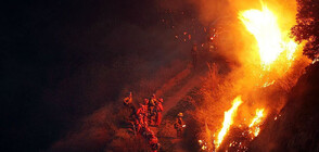 Чили поиска международна помощ заради опустошителни пожари