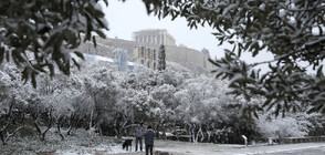 Снежната буря Барбара затвори училища и магазини в Атина (ВИДЕО+СНИМКИ)