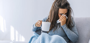 В кои области има най-много болни от грип
