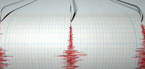 Земетресенията в Турция са били усетени чак в Гренландия