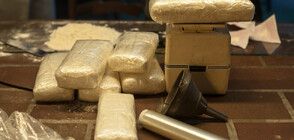 Полицията в Нова Зеландия откри 3,2 тона кокаин в океана (ВИДЕО+СНИМКИ)