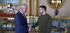 Крал Чарлз III посрещна Зеленски в Бъкингамския дворец (ВИДЕО)