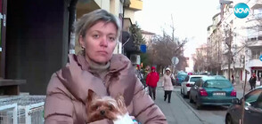 Куче нахапа жена и домашния ѝ любимец в София