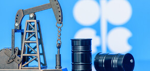 „Ройтерс”: Страните от ОПЕК+ намаляват добива на петрол с 2 млн. барела на ден