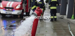 ЗРЕЛИЩНА КАТАСТРОФА: Шофьор помете стълб и пожарен кран в Пловдив, предизвика наводнение (ВИДЕО)